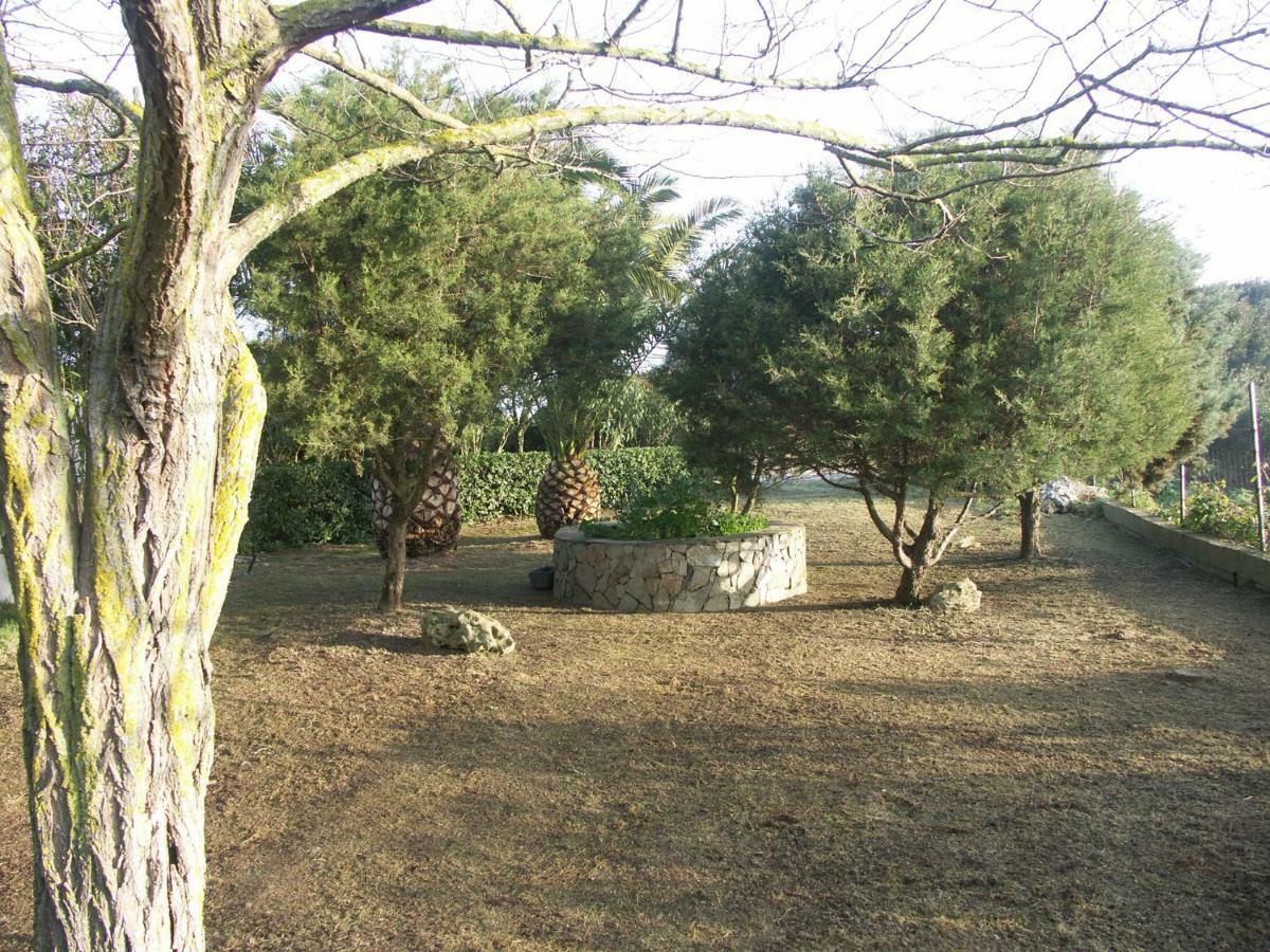 Locanda Del Pescatore Apartment Palmadula Bagian luar foto